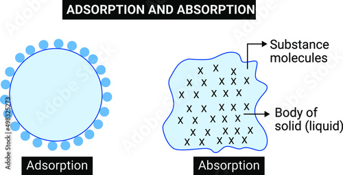 ADSORPTION AND ABSORPTION