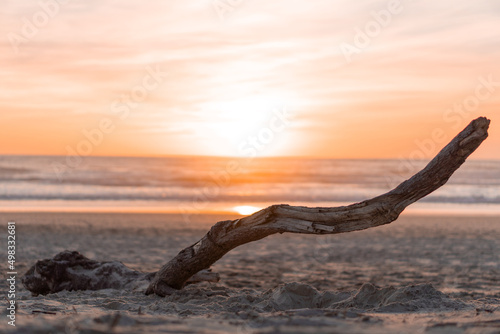 Beach sunset with a tree trunk
