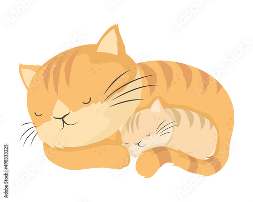 kitty mom with baby