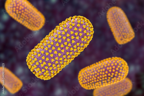 Принти на полотні Rabies viruses, 3D illustration