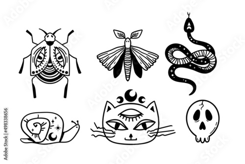 Mystical trippy isolated cliparts bundle, goblincore aesthetics, mystical black cat, snake, moth, snail and skull, creepy esoteric witchy stuff, black and white illustration