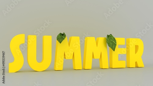 Summer 3D text. Isolated poster in cartoon design. 3d rendering. 