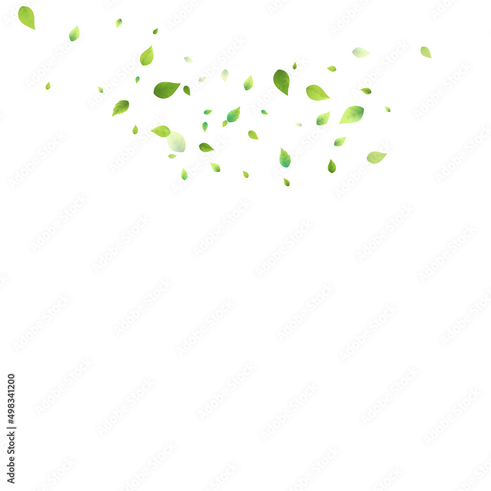 Leaves Green Falling Flying Foliage Leaf Tea Mint Leaves Green Falling Flying Foliage Leaf Tea Mint