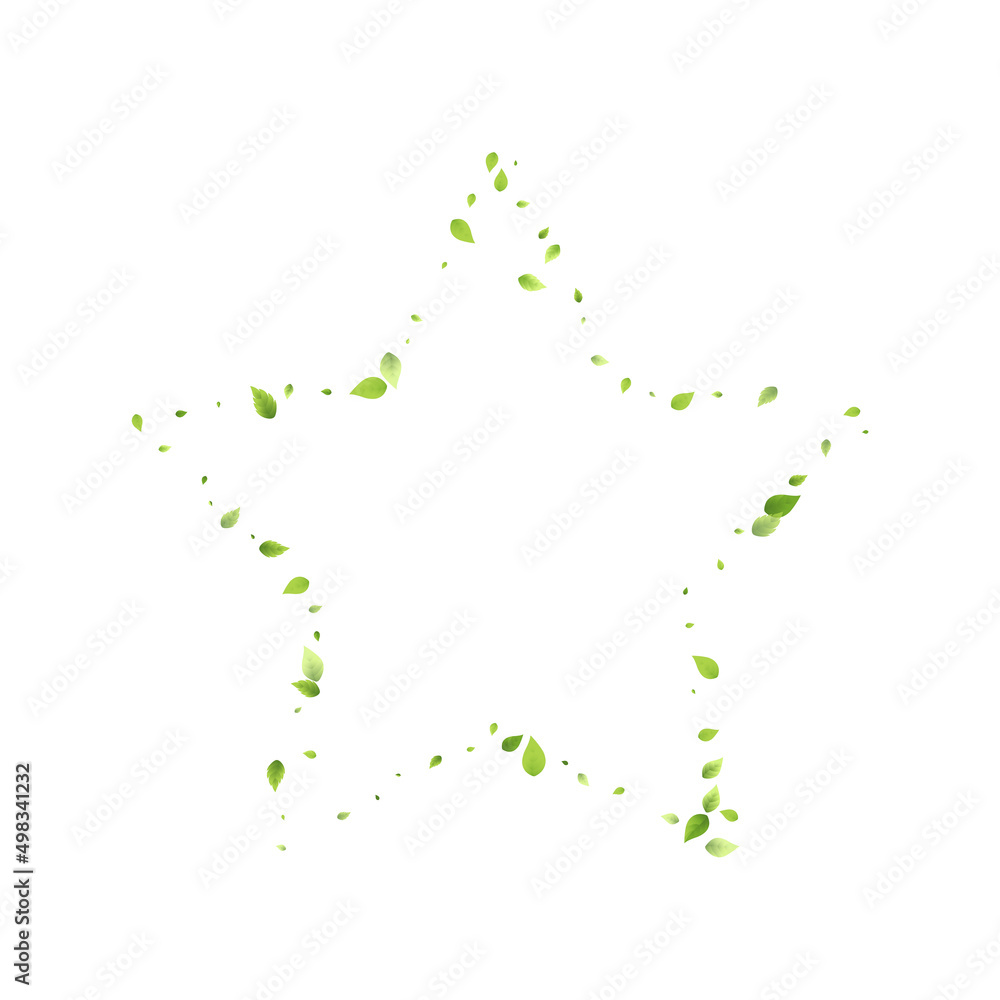 Leaves Green Falling Flying Foliage Leaf Tea Mint Leaves Green Falling Flying Foliage Leaf Tea Mint