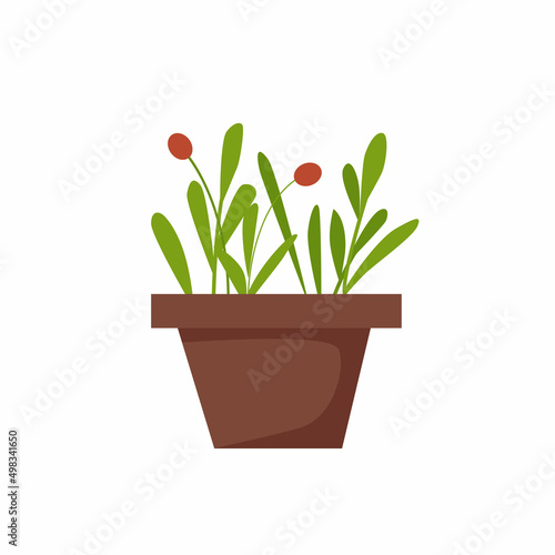 Small green seedlings in a pot. Vector cartoon illustration.