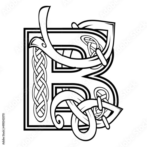 celtic letter B illustration in vector format