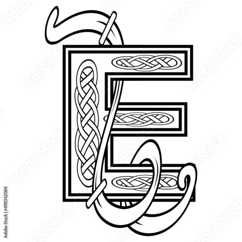 celtic letter E illustration in vector format
