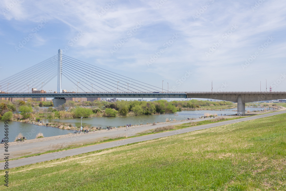 城北ワンド群と菅原城北大橋 城北ワンド群と菅原城北大橋
