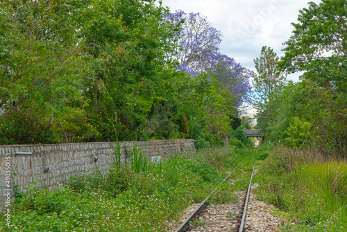 Railroad tracks amidst green trees in forest