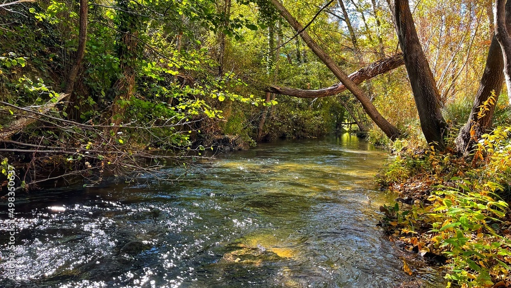 Obraz premium HRD_Nature_V1