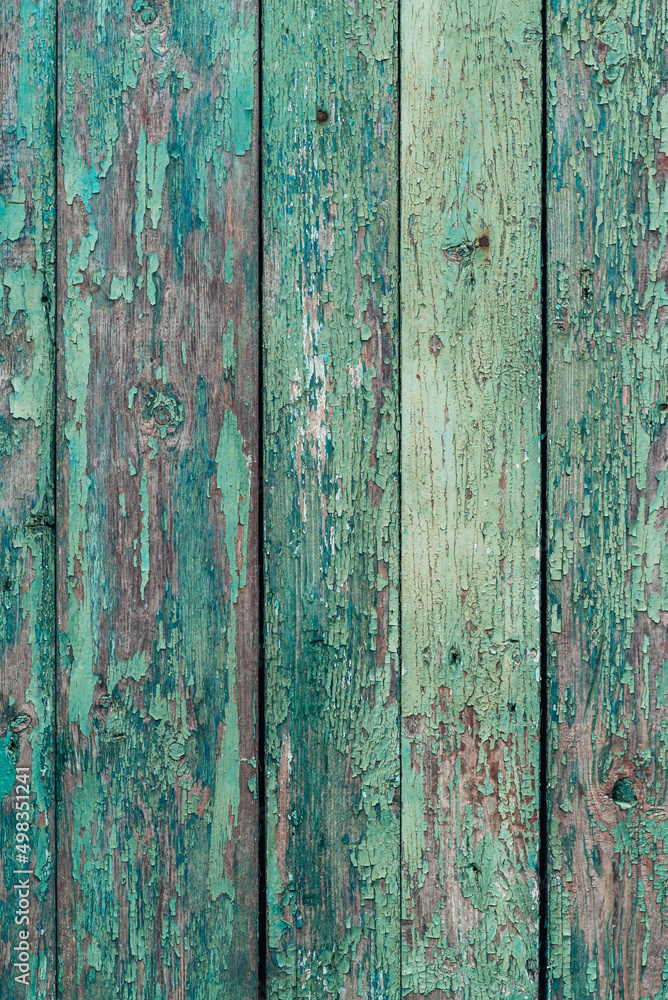 wood texture. the background is old. blue-green painted, turquoise dark vertical panels. rustic wood texture. the background is old. blue-green painted, turquoise dark vertical panels. rustic
