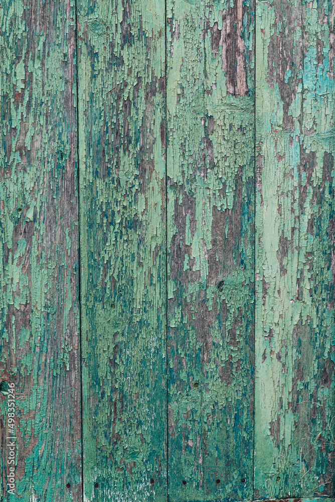  wood texture. the background is old. blue-green painted, turquoise dark vertical panels. rustic