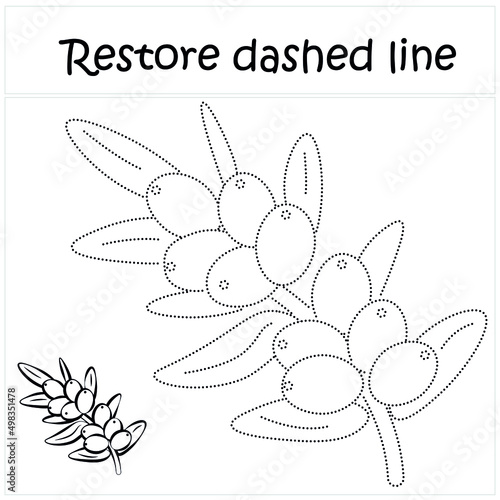 Sea ​​buckthorn. Repair the dotted line. Handwriting practice. Educational game for toddlers and preschoolers. Cartoon style. Isolated vector illustration, eps