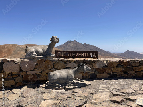 Montañas y cabras de Fuerteventura, Islas Canarias