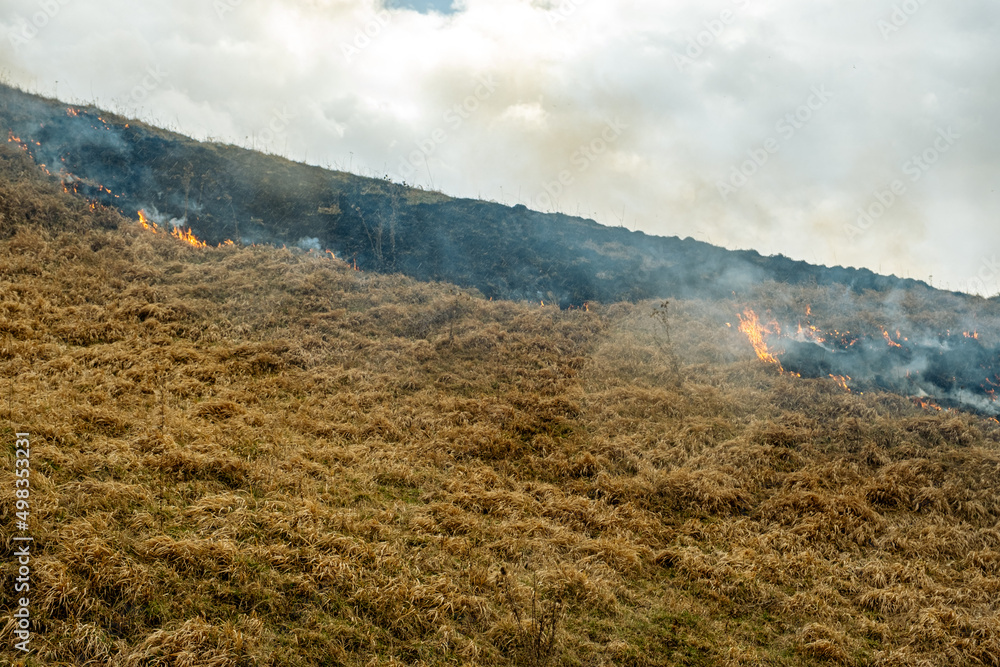 A huge flame of fire burns the nature around. Dry steppe grass burns with a large flame.