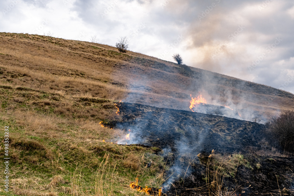 Fototapeta premium A huge flame of fire burns the nature around. Dry steppe grass burns with a large flame.