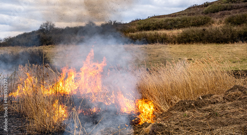 A huge flame of fire burns the nature around. Dry steppe grass burns with a large flame. © Roberto Sorin