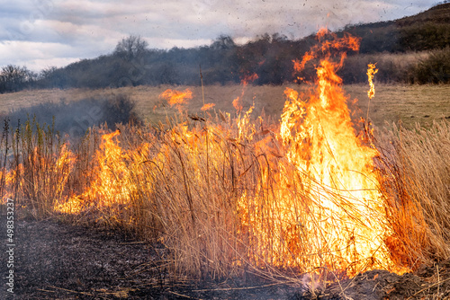 A huge flame of fire burns the nature around. Dry steppe grass burns with a large flame.