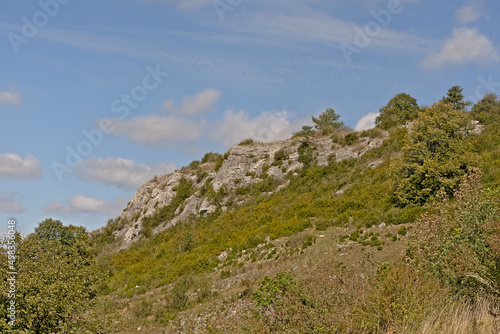 rocky hill flank with trees and shrubs in Ardennes, Wallonia, belgium
