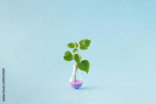 Energy efficiency scene with green leaves growing out of incandescent light bulb filled with purple sand on blue background. © Maja
