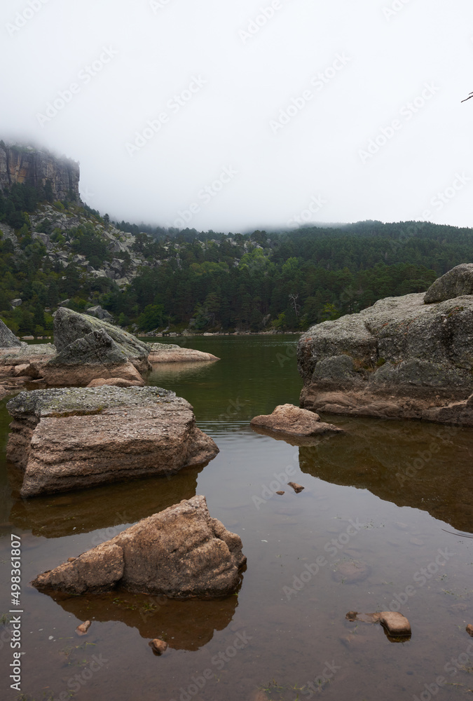 A lake in the middle of a large pine forest under a gray sky