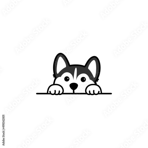 Cute siberian husky peeking cartoon, vector illustration