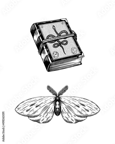Butterfly hawk moth or Death. Book of spells with a snake on the cover. Bohemian sketch. Vintage engraving Mystical element in boho style. Doodle outline. Esoteric occult Hand drawing