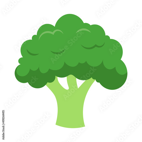green broccoli healthy great food for all people