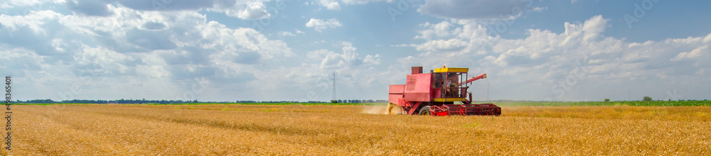 Harvester combine harvesting wheat during harvest on a sunny summer day Harvester combine harvesting wheat during harvest on a sunny summer day