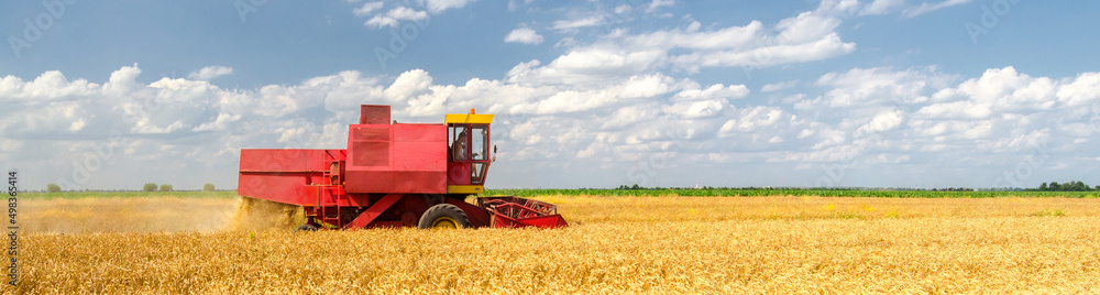 Fototapeta premium Harvester combine harvesting wheat during harvest on a sunny summer day 