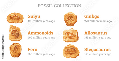 Fossil vector. Archeologic fossil dig set. Dinosaur dino foot, sea animal, fish skeleton, plant, shell. Ancient stone. Evolution rock prehistoric art. Paleontology, history vintage dinosaur icon set