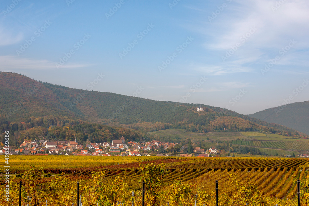 Blick über Weinfelder auf den Weinort Gleisweiler, Südpfalz
