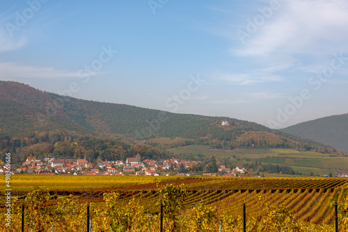 Blick über Weinfelder auf den Weinort Gleisweiler, Südpfalz