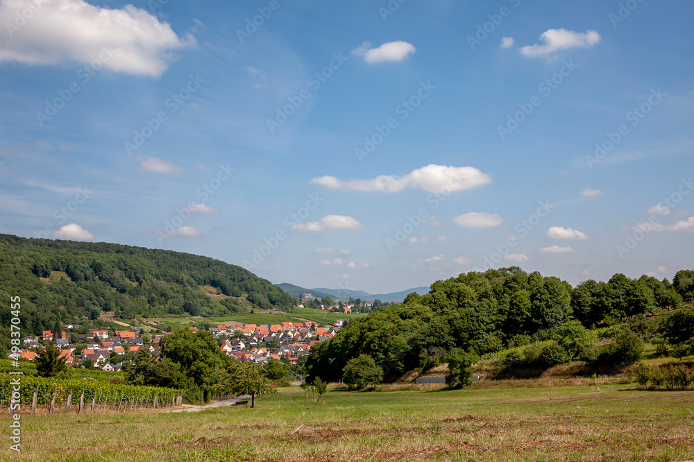 Blick auf Klingenmünster, Südpfalz