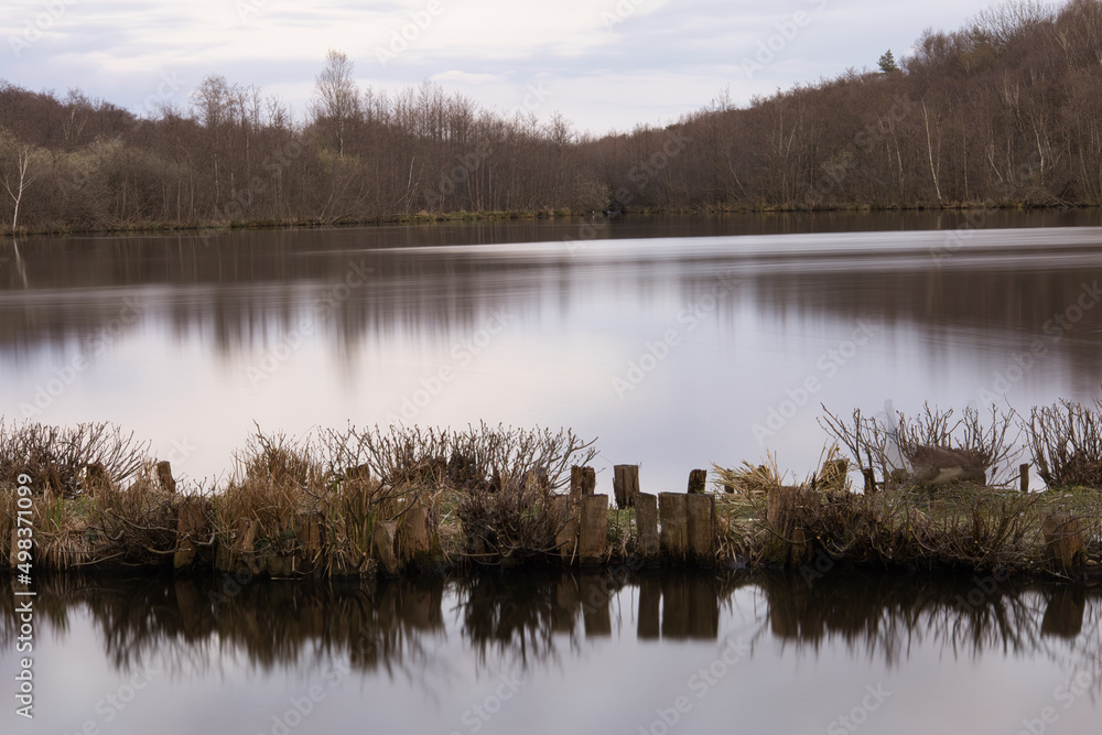 Blick auf Waldsee mit Bäumen Blick auf Waldsee mit Bäumen