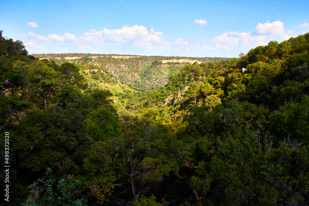 valle entre montañas de una selva baja caducifolia con árboles verdes en primer plano con un cielo azul en Monte Escobedo, Zacatecas