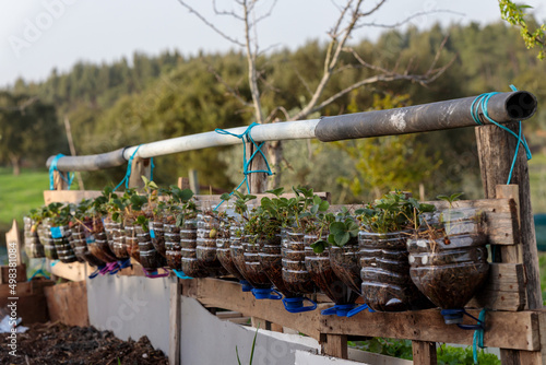 Creative Water Canister Repurposed into a Raised Garden Bed