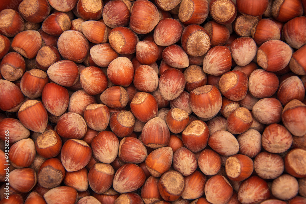 Wallpaper covered with hazelnuts shot in close-up Wallpaper covered with hazelnuts shot in close-up