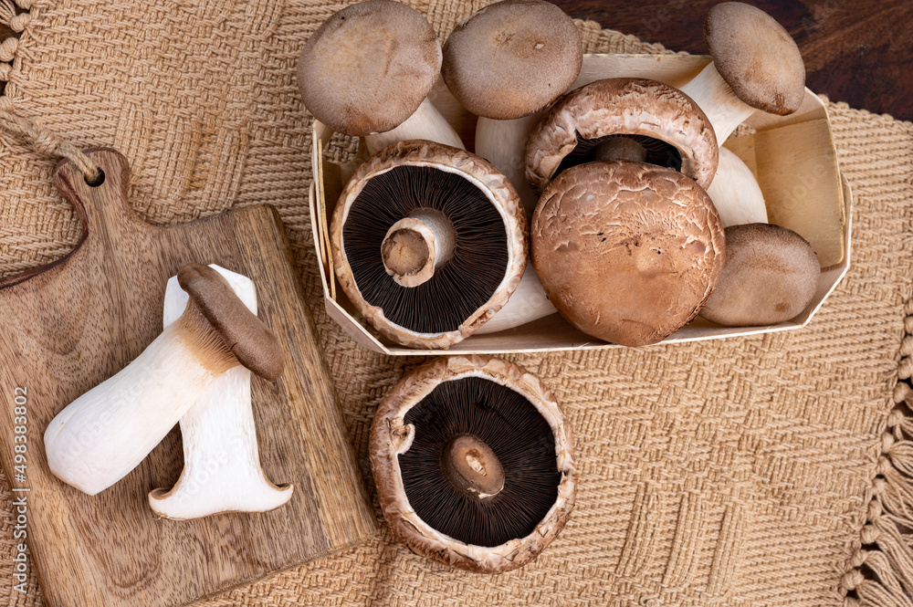 Φωτογραφία Tasty vegetarian food, Pleurotus eryngii king trumpet mushroom and brown champig