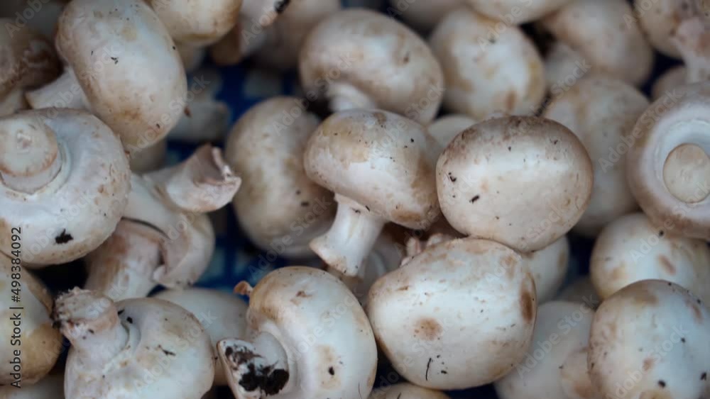 Mushrooms and champignons on supermarket shelves Mushrooms and champignons on supermarket shelves