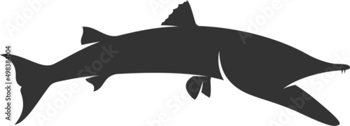 Barracuda Silhouette. Isolated Vector Animal Template for Logo Company, Icon, Symbol etc 