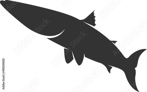 Barracuda Silhouette. Isolated Vector Animal Template for Logo Company  Icon  Symbol etc 