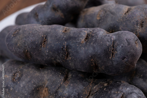 Colorful belgian purple or black truffle potato root vegetable
