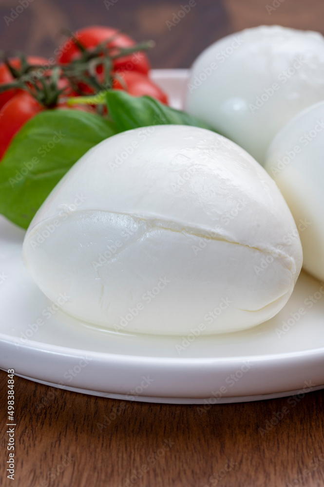Tasing of fresh italian cheese mozzarella di buffalo Tasing of fresh italian cheese mozzarella di buffalo