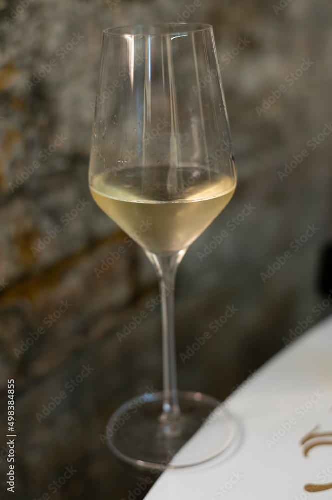 Obraz premium Tasting of brut champagne sparkling wine produced by traditional method in underground caves