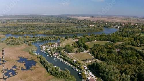 Water surface with plants photo