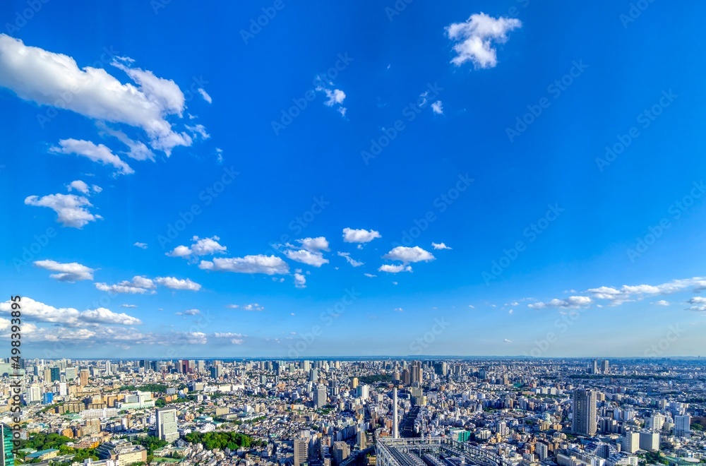 Fototapeta premium 東京風景 渋谷から望む