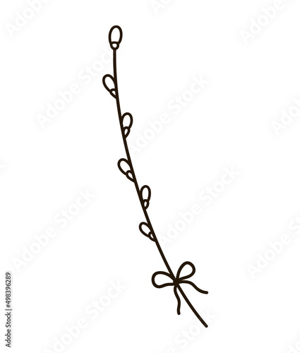 Pussy-willow branch isolated on white background. Vector hand-drawn illustration in doodle style. Perfect for Easter and holiday designs, cards, logo, decorations.