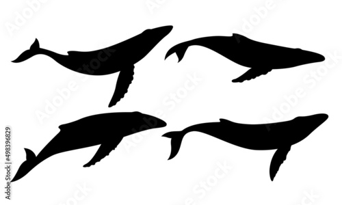 Blue whale set silhouette on white background.
