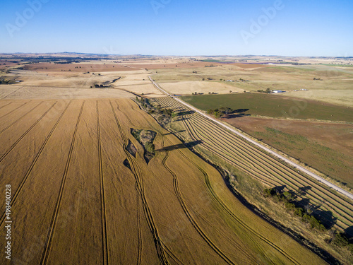 aerial view of farmland photo